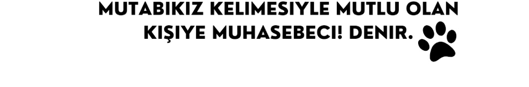 MuhasebeciKedi