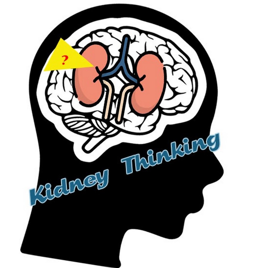 critical thinking questions about kidney