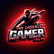 TheCasualGamer1995