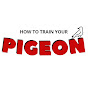 How To Train Your Pigeon