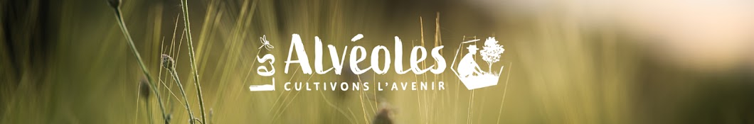 Les Alvéoles