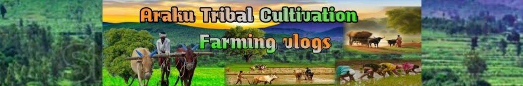 Araku tribal vlogs 