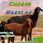 CHORVA NARXLARI