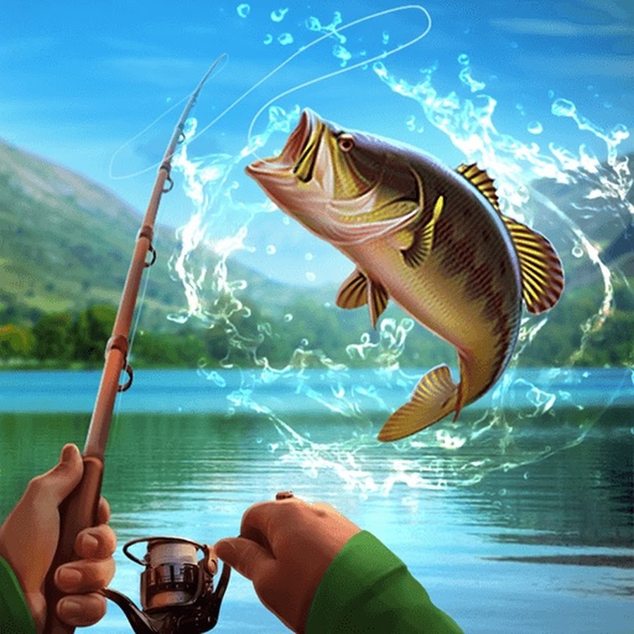 картинки рыбалка хорошего качества