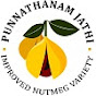 Punnathanam nutmeg plantation & nursery