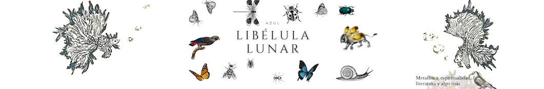 Libélula Lunar