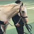 Japanese horse race.