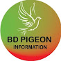 BD pigeon information