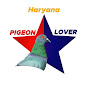 HARYANA PIGEON LOVER