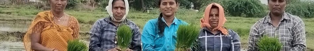 SWATHI barishetti agriculture