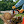 woodworkingprojectsdiy avatar