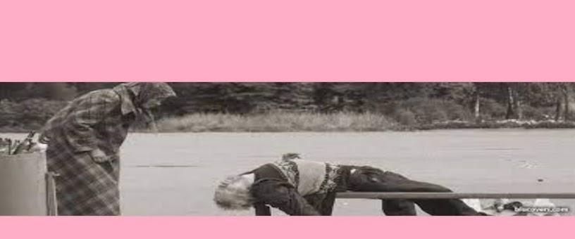Artist Thumbnail