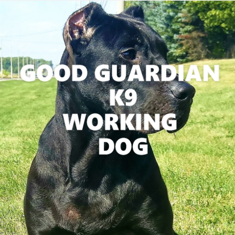 GOOD GUARDIAN K9 (Working Dog)
