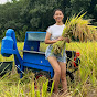 small commercial rice huller machiney