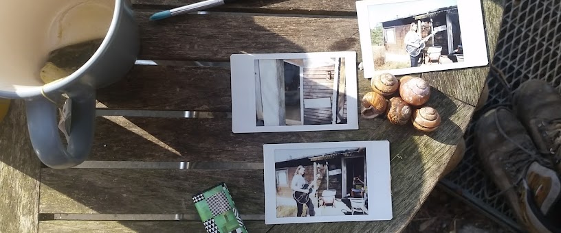 Artist Thumbnail