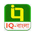 Islamic Questions বাংলা