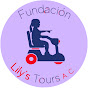 Fundación Lily's Tours Official