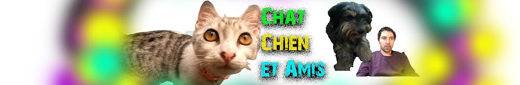 Chat Chien et Amis