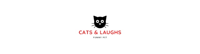 Cats And Laughs