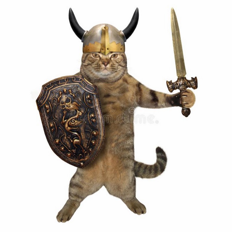 Кот с мечом и щитом