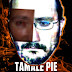 Tamale Pie