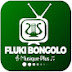 FLUKI BONGOLO MUSIQUE PLUS