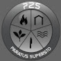 P2S Network