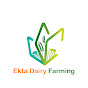 Ekta Dairy Farming