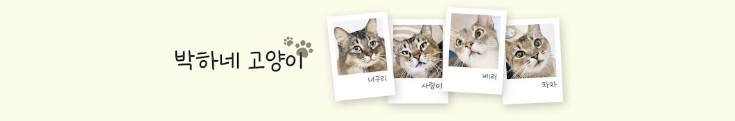 박하네 고양이 Mint's cat