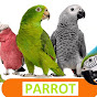 Smart Parrots 🦜