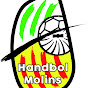 Handbol Molins