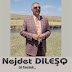 Nejdet Dileşq - Topic