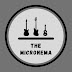 logo The Micronema