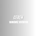 Ceren - Topic