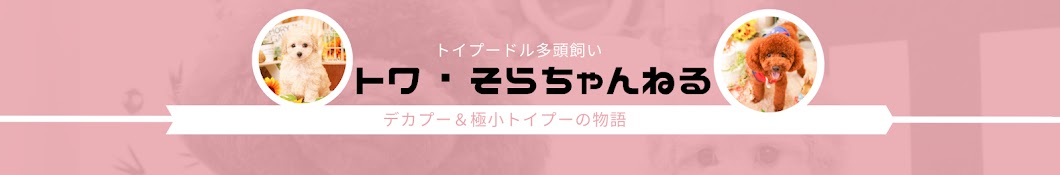 トワそらサクラの犬バカ日記