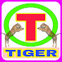 TIGER STAGE RAGNI