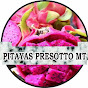 Pitayas Presotto MT