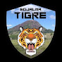 TIGRE NA ESTRADA