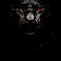 BlackTiger