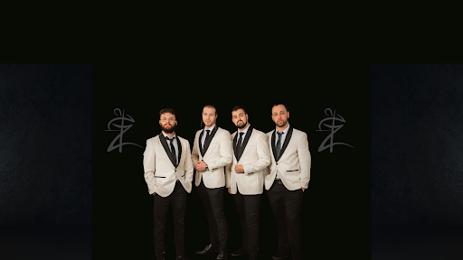 Zaltz Band Banner