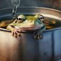 Boiling Frog