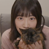 【公式】フジのお歳暮・冬ギフト ねこてん - YouTube 口紅