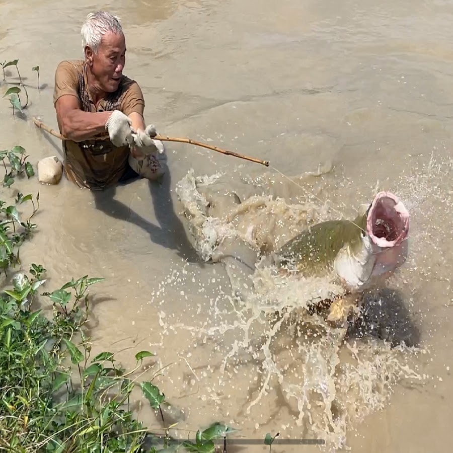 Grandpa net Fishing #new #fishing #villagelife1 #fishingvideos