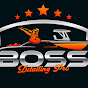 Boss Detailing Pros