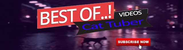 Cat Tuber