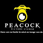 peacock picture studio