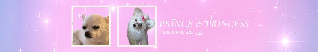 Prince and Princess 왕자와 공주의 하와이 이야기💕