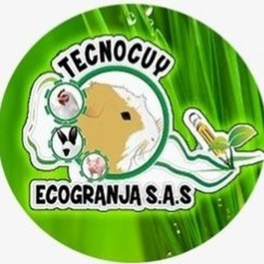 Cuy y Conejo ¡Mas Que una Oportunidad Empresarial! @Tecnocuy-Ecogranja
