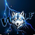 Wolf 555