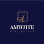 Amyotte Real Estate